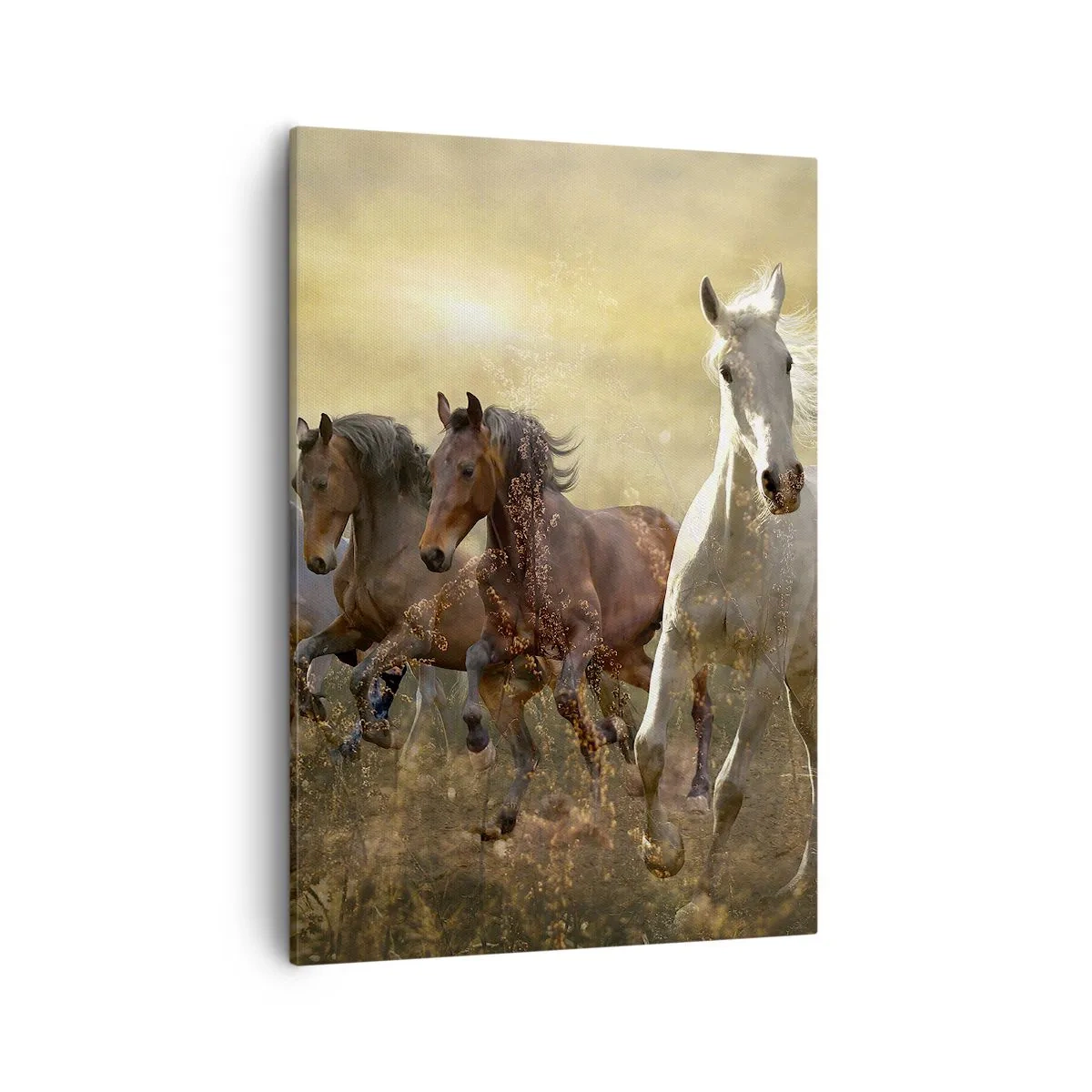 Cuadro sobre lienzo - Impresión de Imagen - Un grupo de caballos al galope con el sol poniente como telón de fondo. - 50x70cm - ¡Viva la libertad! - Decoración de pared moderna para salón y dormitorio ARTTOR
