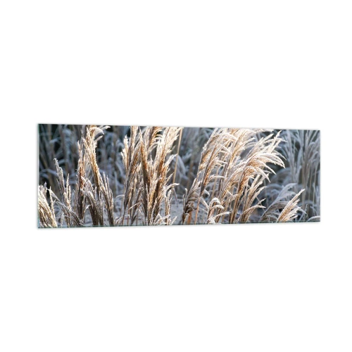 Cuadro sobre vidrio - Impresiones sobre Vidrio - Hojas de hierba invernales cubiertas de escarcha sobre un fondo verde oscuro - 160x50cm - Campos y campos - Decoración de pared moderna para salón y dormitorio ARTTOR