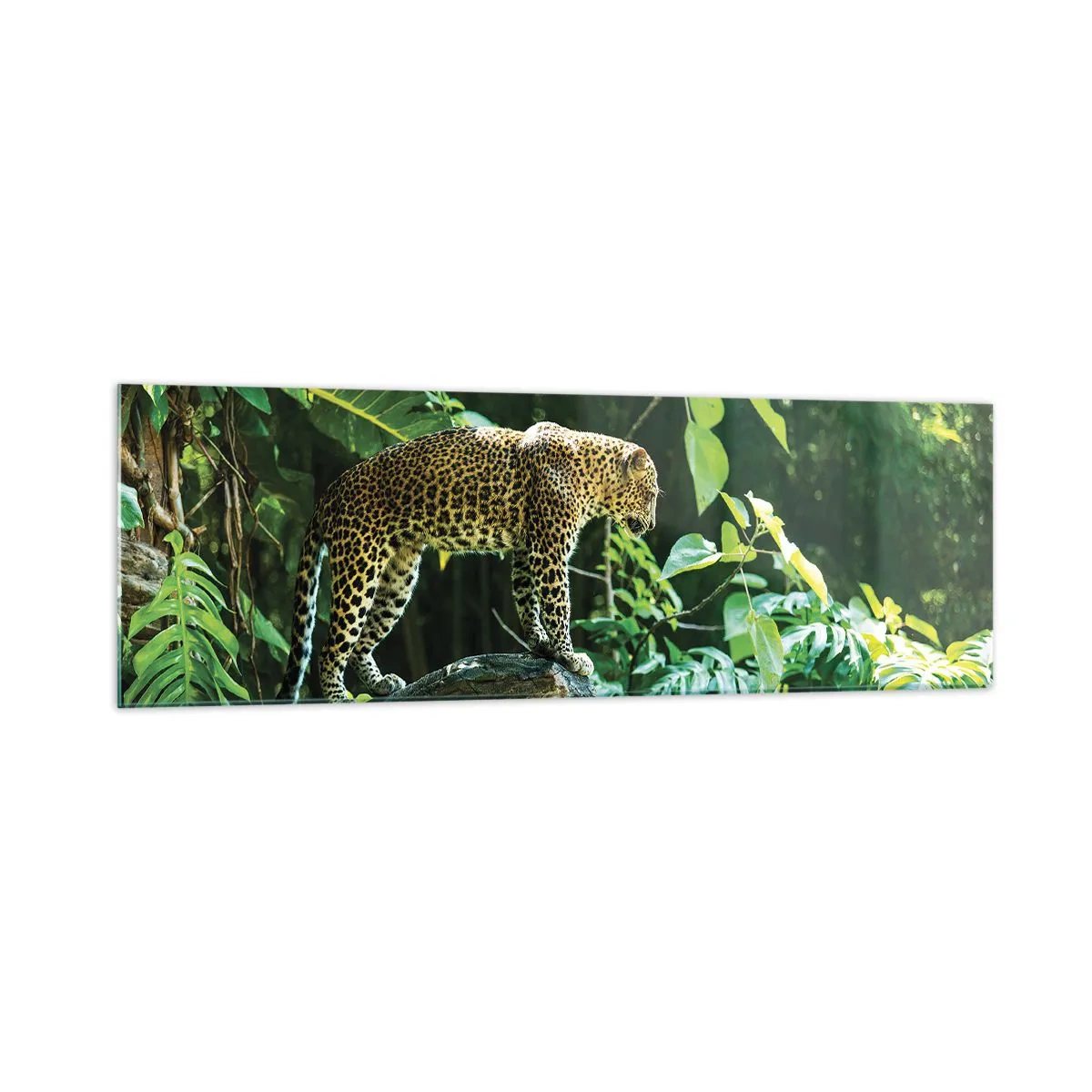Cuadro sobre vidrio - Impresiones sobre Vidrio - Un leopardo de pie sobre una roca rodeado de vegetación tropical. - 160x50cm - ¿A la caza? - Decoración de pared moderna para salón y dormitorio ARTTOR