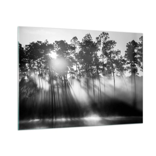 Cuadro sobre vidrio - Impresiones sobre Vidrio - Árboles en blanco y negro en un bosque con rayos de sol en la bruma. - 100x70cm - Sol imparable - Decoración de pared moderna para salón y dormitorio ARTTOR
