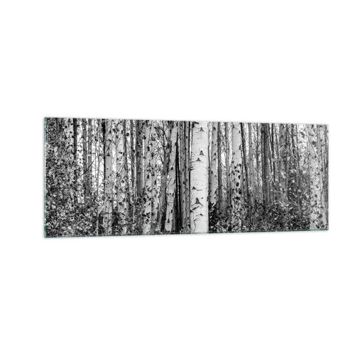 Cuadro sobre vidrio - Impresiones sobre Vidrio - Abedules blancos y negros en el bosque - 140x50cm - Columnas de abedules - Decoración de pared moderna para salón y dormitorio ARTTOR