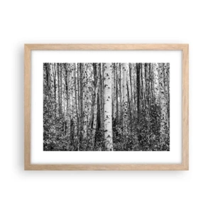 Póster en marco roble claro - Columnas de abedules - 40x30 cm