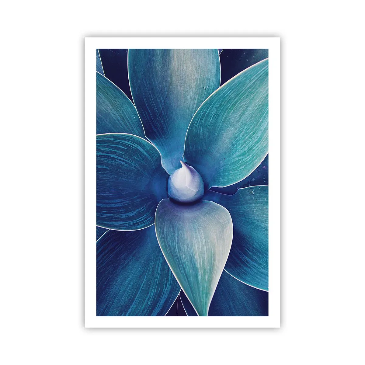 Póster - Azul del cielo - 61x91 cm