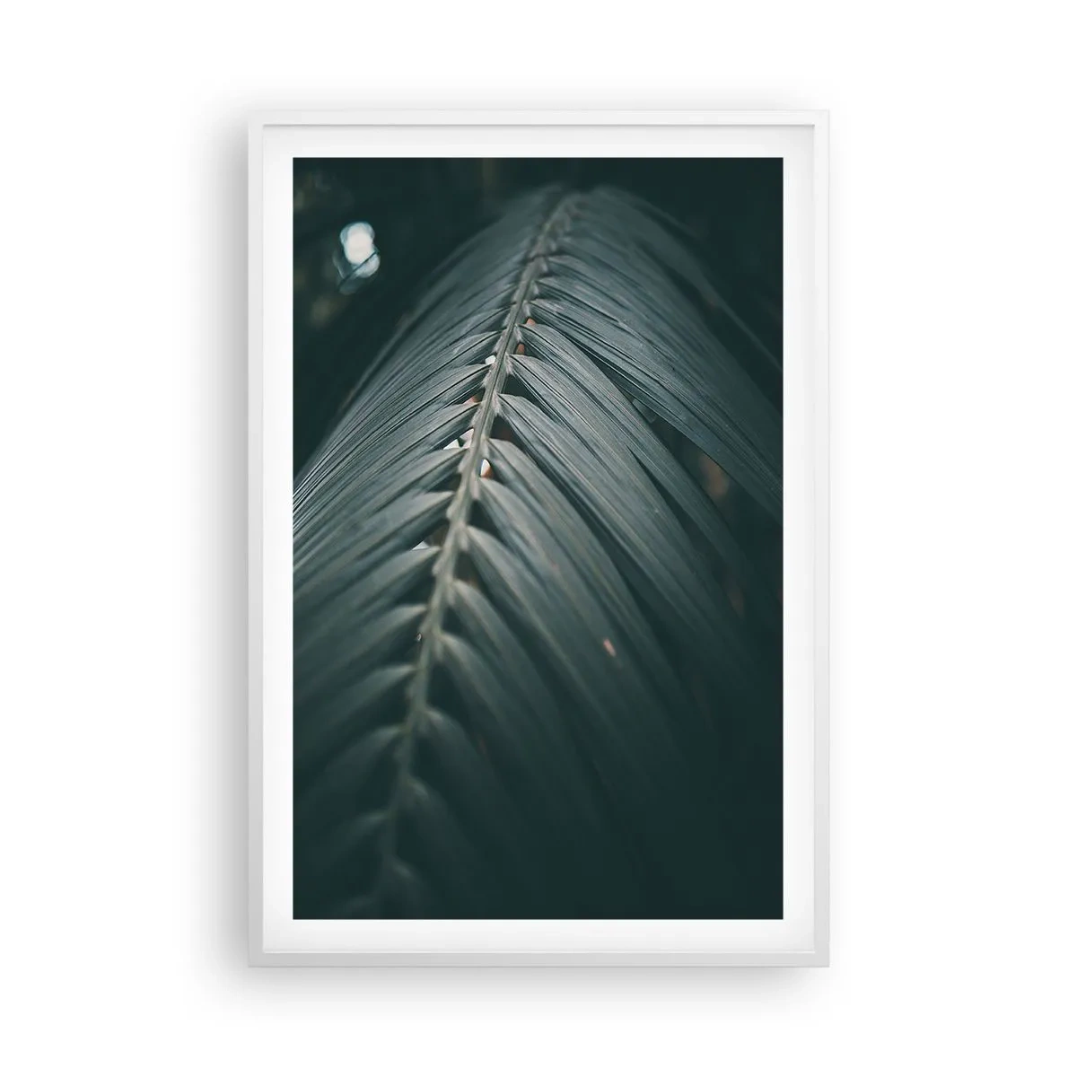 Póster en marco blanco - La precisión de la naturaleza - 61x91 cm