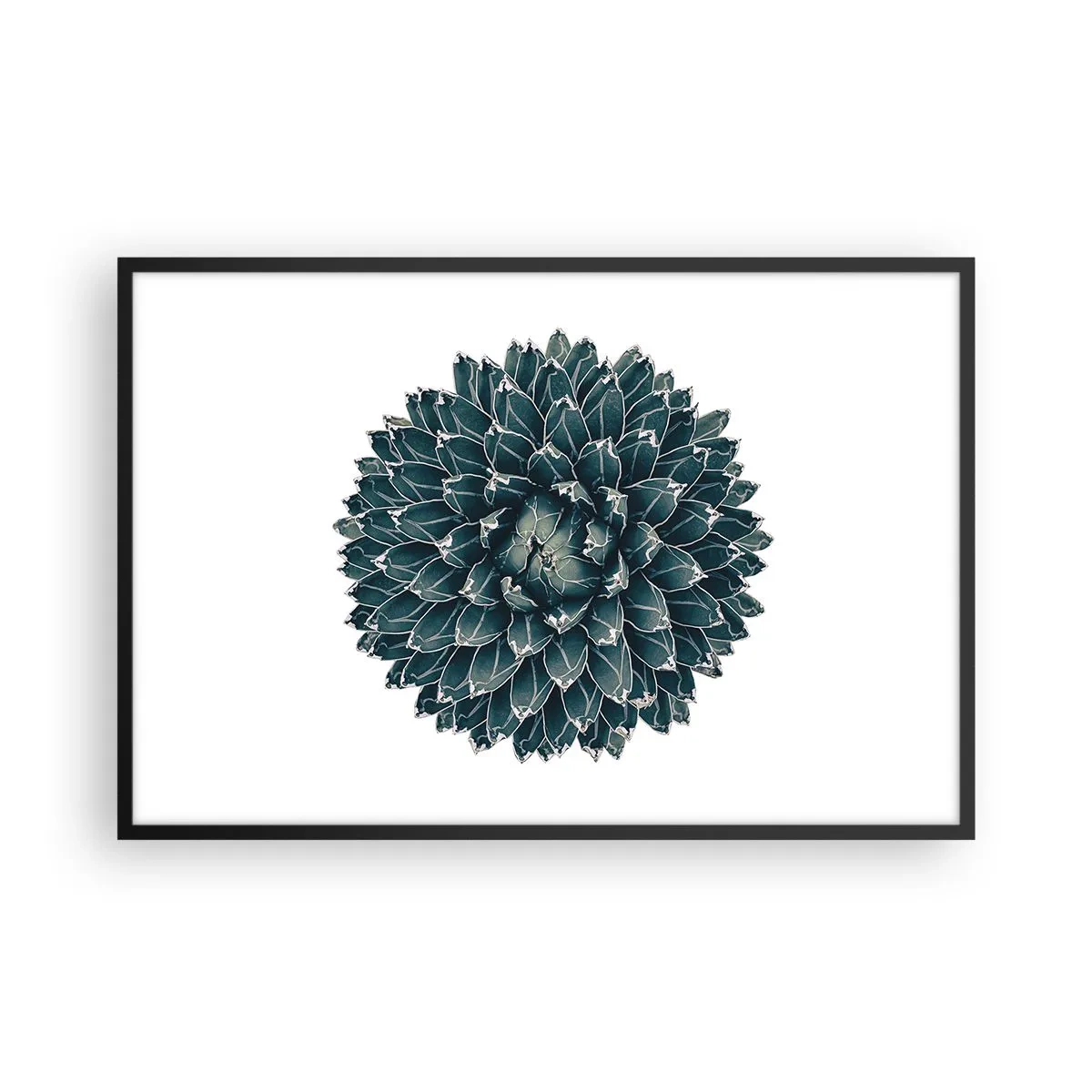 Póster en marco negro - Estrella del desierto - 91x61 cm