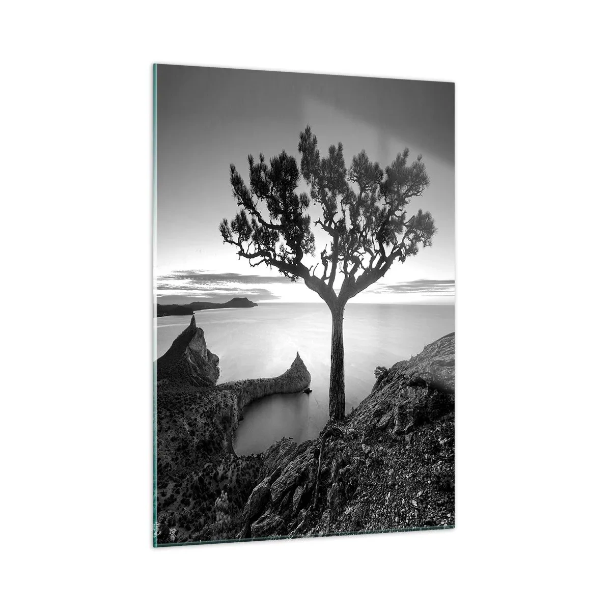 Cuadro sobre vidrio - Impresiones sobre Vidrio - Un árbol en un acantilado con vistas a la bahía. - 50x70cm - Calma hasta el horizonte - Decoración de pared moderna para salón y dormitorio ARTTOR