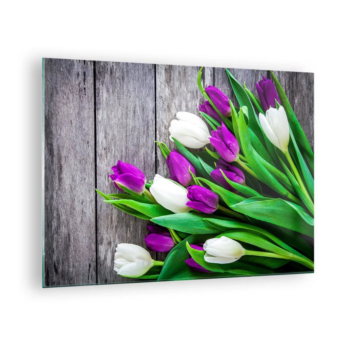 Cuadro sobre vidrio - Impresiones sobre Vidrio - Un ramo de tulipanes morados y blancos sobre un fondo de madera. - 70x50cm - El día de la fiesta de la primavera - Decoración de pared moderna para salón y dormitorio ARTTOR