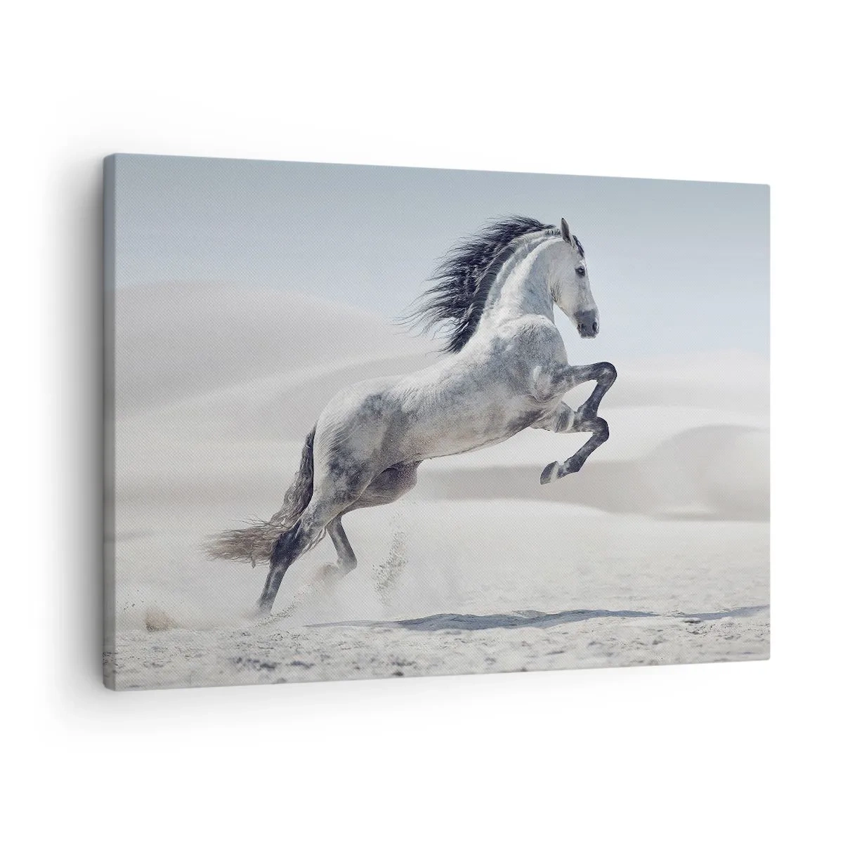 Cuadro sobre lienzo - Impresión de Imagen - Un caballo blanco galopando con las dunas del desierto como telón de fondo. - 70x50cm - Un príncipe árabe - Decoración de pared moderna para salón y dormitorio ARTTOR