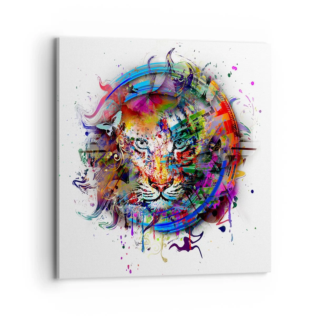 Cuadro sobre lienzo - Impresión de Imagen - Al acecho tras la cortina arco iris - 70x70 cm