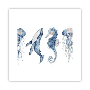 Póster - Fauna marina - 30x30 cm
