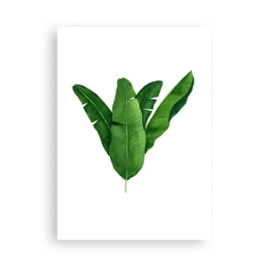 Póster - Ilustración de acuarela de hojas de plátano dispuestas simétricamente sobre un fondo blanco. - 50x70cm - Simetría verde - Decoración de pared moderna para salón y dormitorio ARTTOR