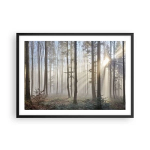 Póster en marco negro - Un bosque en medio de una ligera niebla con rayos de sol brillando a través de los árboles. - 70x50cm - La niebla también está despierta - Decoración de pared moderna para salón y dormitorio ARTTOR
