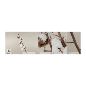 Muestra de fotomural Premium Sand - En la fuente de la suavidad - Flor de algodon, Naturaleza, Algodón - 100x30 cm