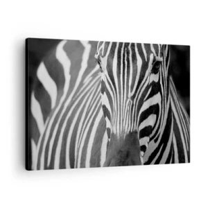 Cuadro sobre lienzo - Impresión de Imagen - Un primer plano en blanco y negro de una cebra con sus distintivas rayas. - 70x50cm - El mundo es blanco y negro - Decoración de pared moderna para salón y dormitorio ARTTOR