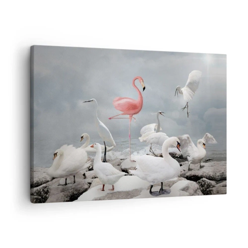 Cuadro sobre lienzo - Impresión de Imagen - Un flamenco rosado entre cisnes blancos con el fondo de un lago. - 70x50cm - ¿De dónde vengo? - Decoración de pared moderna para salón y dormitorio ARTTOR