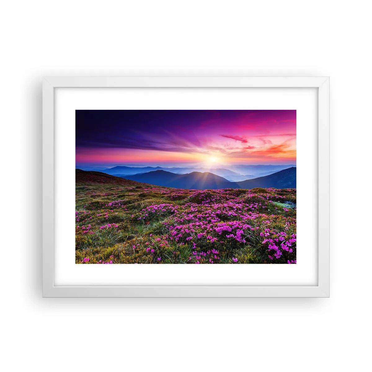 Póster en marco blanco - Dulce aroma a frescura - 40x30 cm