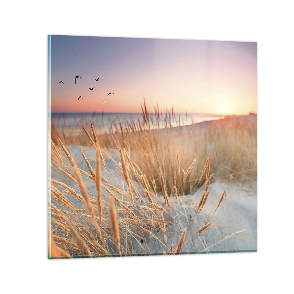 Cuadro sobre vidrio - Impresiones sobre Vidrio - Dulce nana del Báltico - 60x60 cm