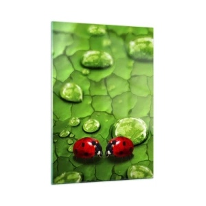 Cuadro sobre vidrio - Impresiones sobre Vidrio - Dos mariquitas en una hoja verde con gotas de agua. - 50x70cm - Reunión sobre verde - Decoración de pared moderna para salón y dormitorio ARTTOR