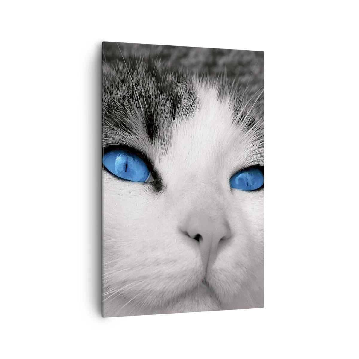 Cuadro sobre lienzo - Impresión de Imagen - Retrato de un gato con ojos azules en estilo blanco y negro. - 80x120cm - Inusual de ojos azules - Decoración de pared moderna para salón y dormitorio ARTTOR