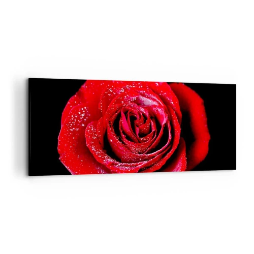 Cuadro sobre lienzo - Impresión de Imagen - Una rosa roja cubierta de gotas de rocío sobre un fondo negro. - 120x50cm - Eso es el amor - Decoración de pared moderna para salón y dormitorio ARTTOR