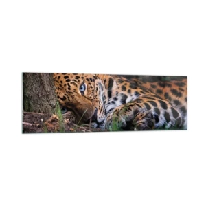 Cuadro sobre vidrio - Impresiones sobre Vidrio - Un leopardo tumbado a la sombra de los árboles. - 160x50cm - Confía en mí - Decoración de pared moderna para salón y dormitorio ARTTOR