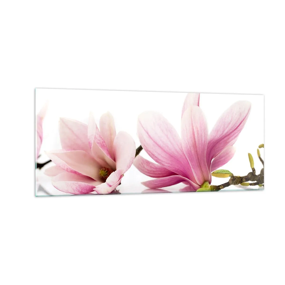 Cuadro sobre vidrio - Impresiones sobre Vidrio - Suave como un soplo de primavera - 100x40 cm