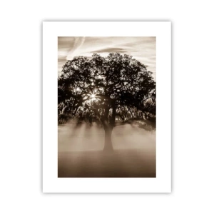 Póster - Un árbol de buenas noticias  - 30x40 cm