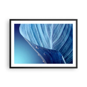 Póster en marco negro - Una hoja azul con gotas de agua visibles. - 70x50cm - Gotas ocultas de azul - Decoración de pared moderna para salón y dormitorio ARTTOR
