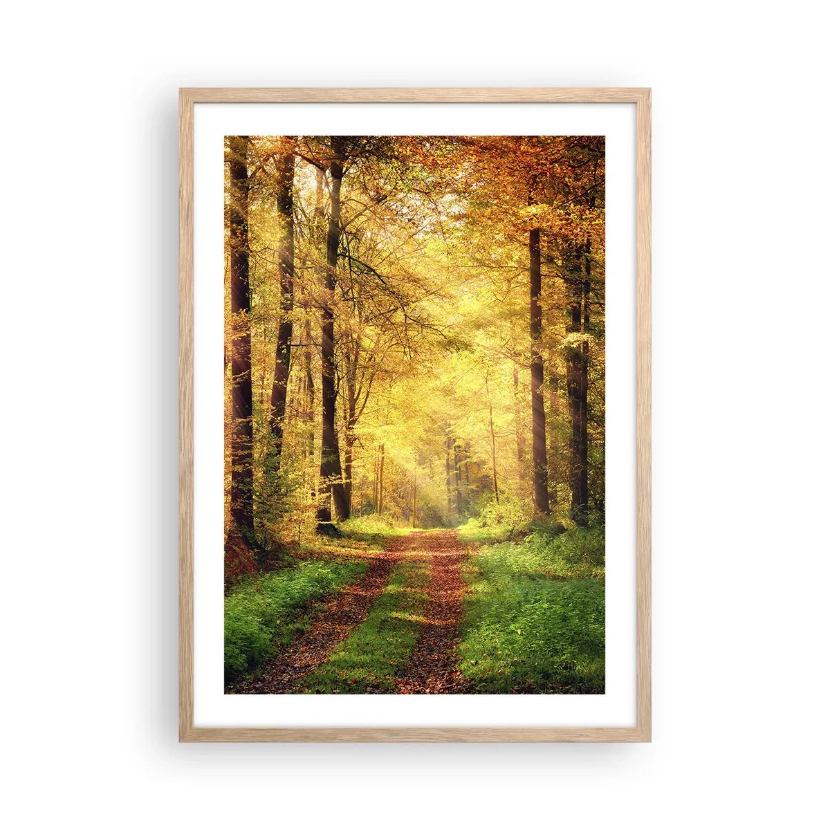 Póster en marco roble claro - Silencio dorado del bosque - 50x70 cm