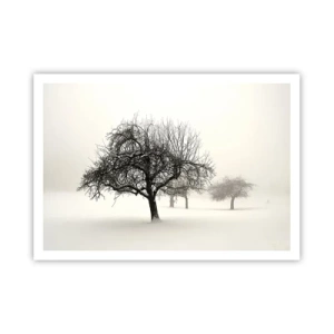 Póster - Árboles en un campo cubierto de nieve rodeado de niebla. - 100x70cm - Sueño de invierno - Decoración de pared moderna para salón y dormitorio ARTTOR