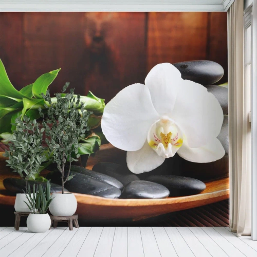 Fotomural Premium Sand - Ríndete al tacto de la naturaleza - flores, Orquídea, Orquídea - 200x140 cm
