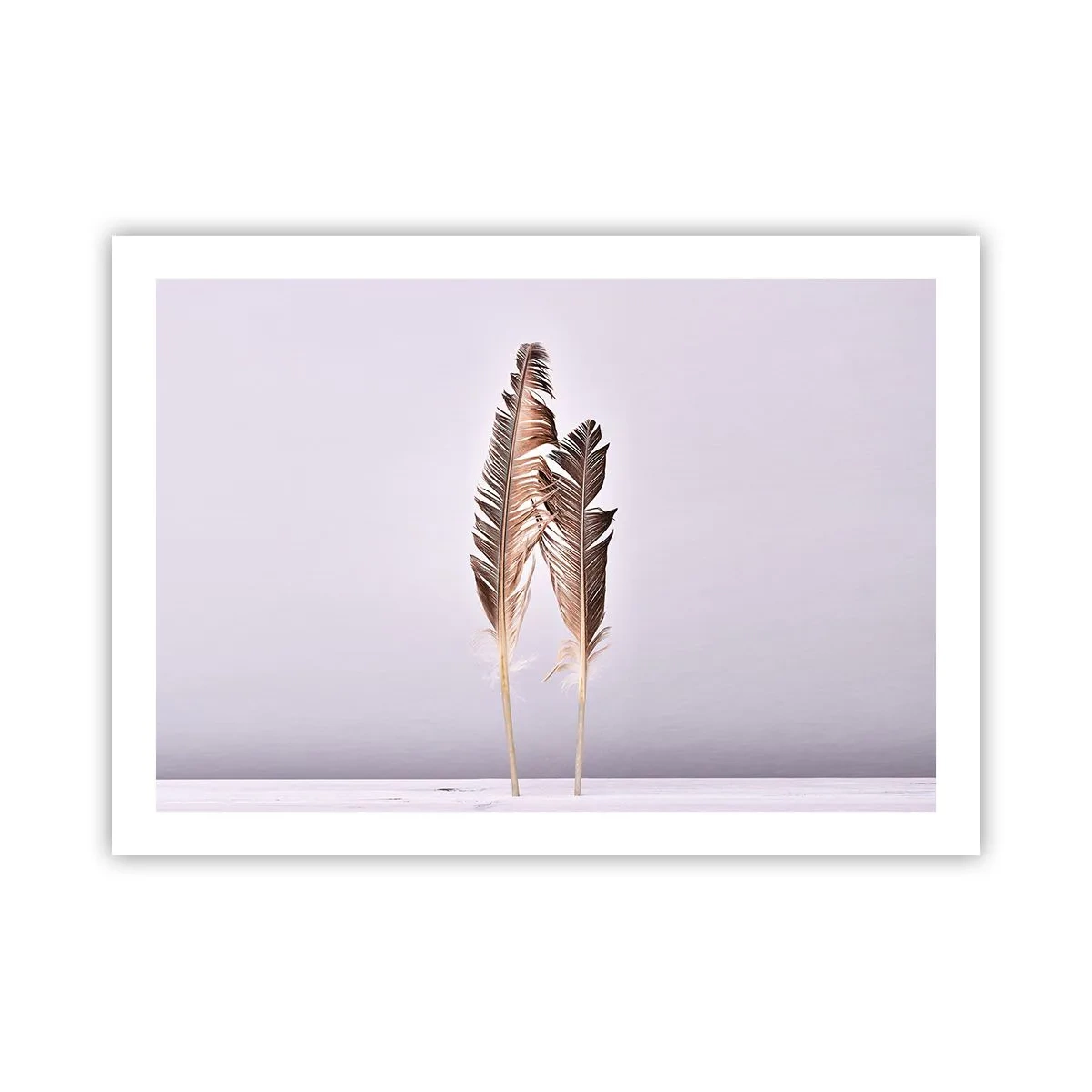 Póster - Contra la nada - 70x50 cm