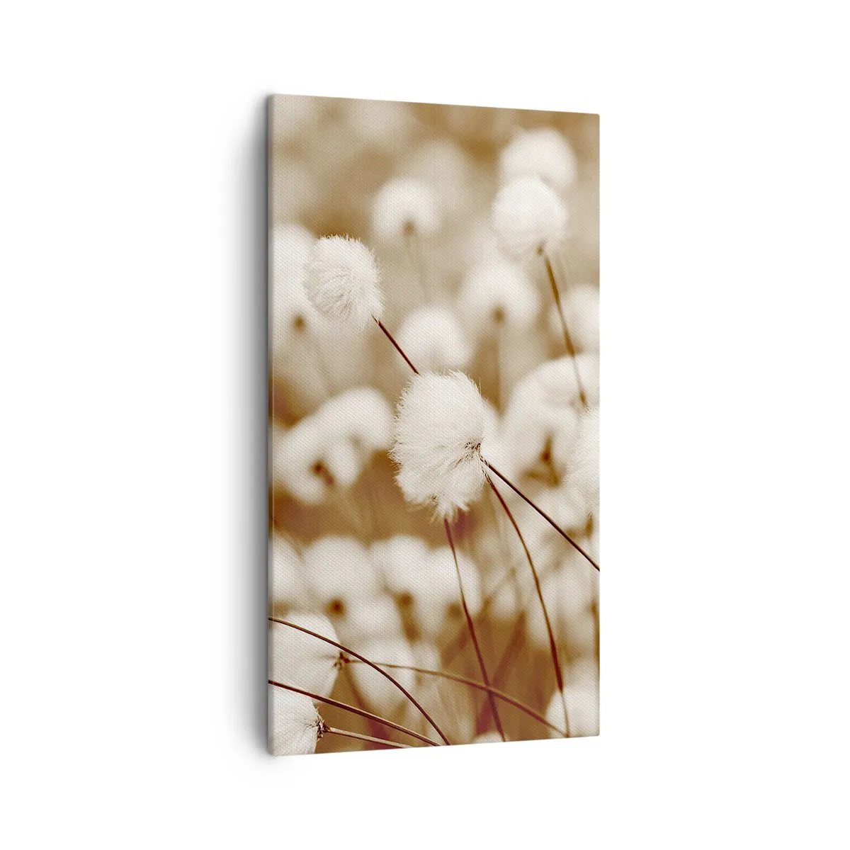 Cuadro sobre lienzo - Impresión de Imagen - Un mullido colchón - 45x80 cm