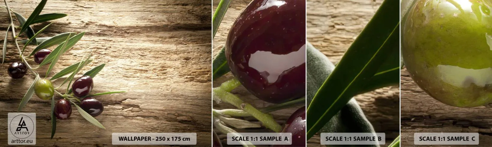 Muestra De Fotomural Standard Eco - Directamente de la naturaleza - Rama de olivo, Naturaleza, Aceitunas - 100x30 cm