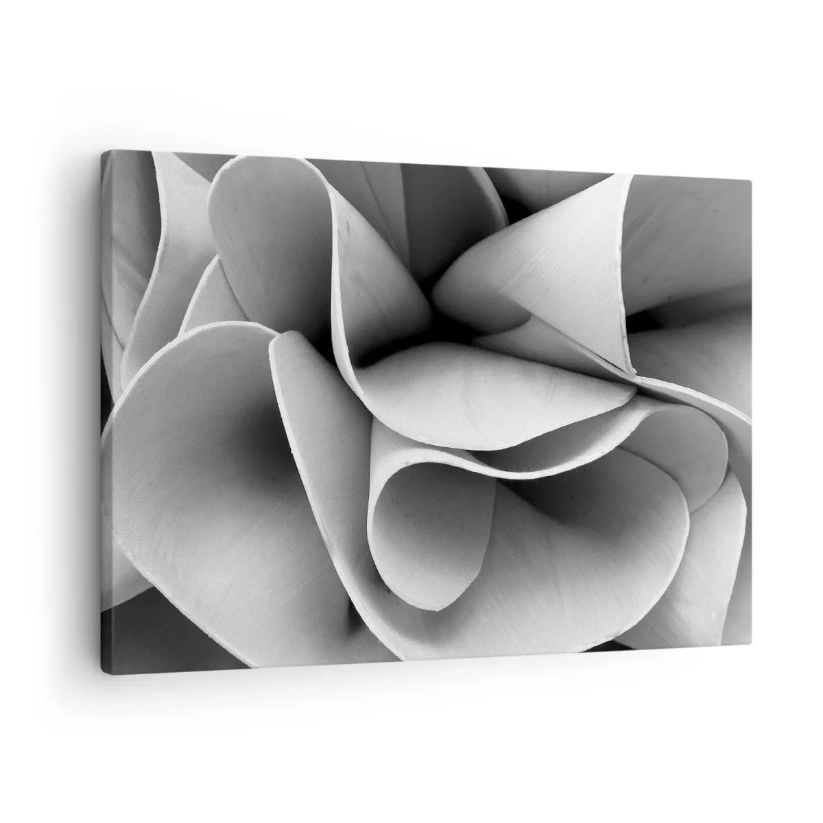 Cuadro sobre lienzo - Impresión de Imagen - Detalles en blanco y negro de formas abstractas. - 70x50cm - Sucede en el espacio - Decoración de pared moderna para salón y dormitorio ARTTOR