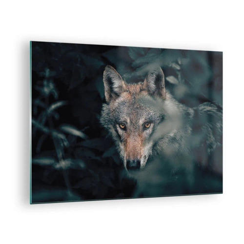 Cuadro sobre vidrio - Impresiones sobre Vidrio - Un lobo observa atentamente desde su escondite en la espesura del bosque. - 70x50cm - Cazador - Decoración de pared moderna para salón y dormitorio ARTTOR
