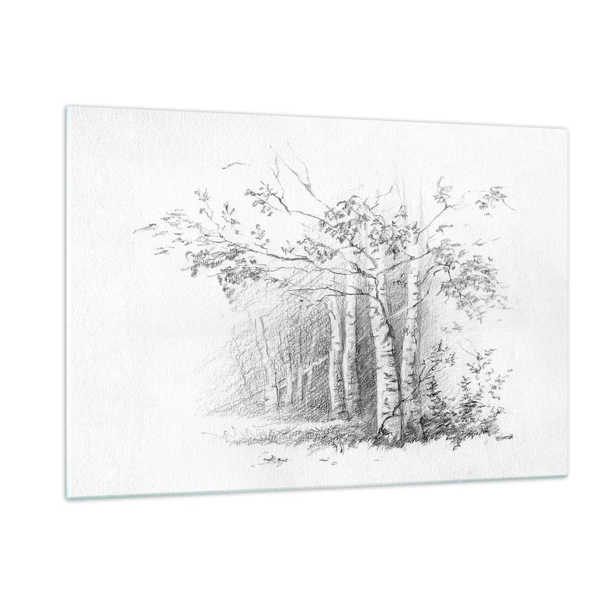 Cuadro sobre vidrio - Impresiones sobre Vidrio - Boceto de un bosque de abedules en tonos monocromáticos. - 120x80cm - La luz de un bosque de abedules - Decoración de pared moderna para salón y dormitorio ARTTOR