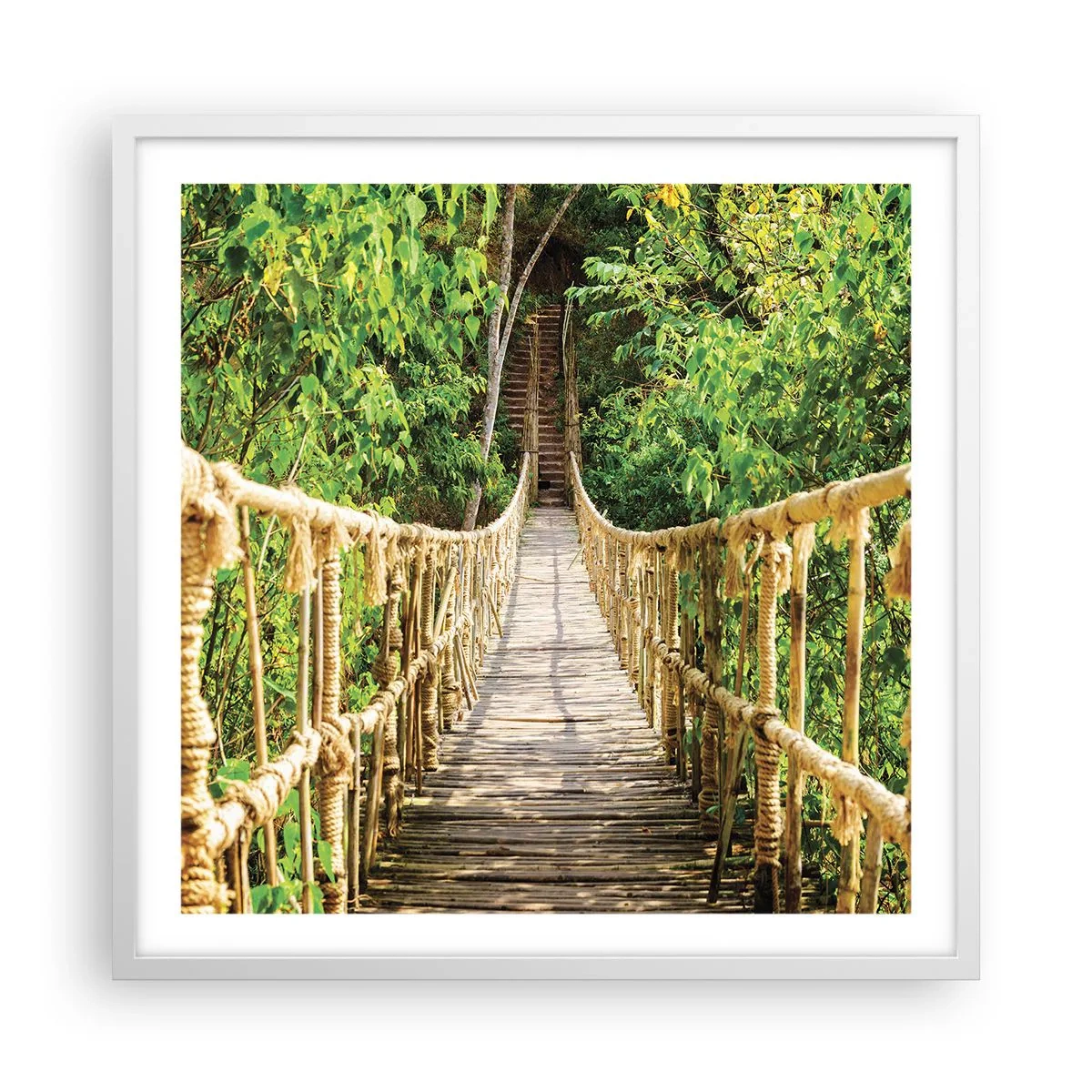 Póster en marco blanco - Suspendido en verde - 60x60 cm