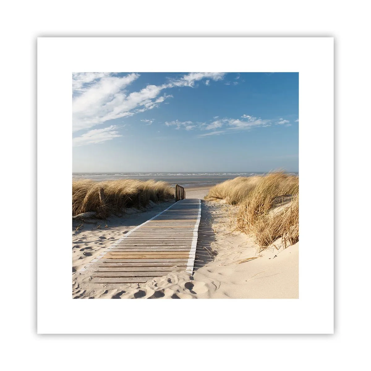 Póster - Más allá de la duna, en el susurro de la naturaleza - 30x30 cm