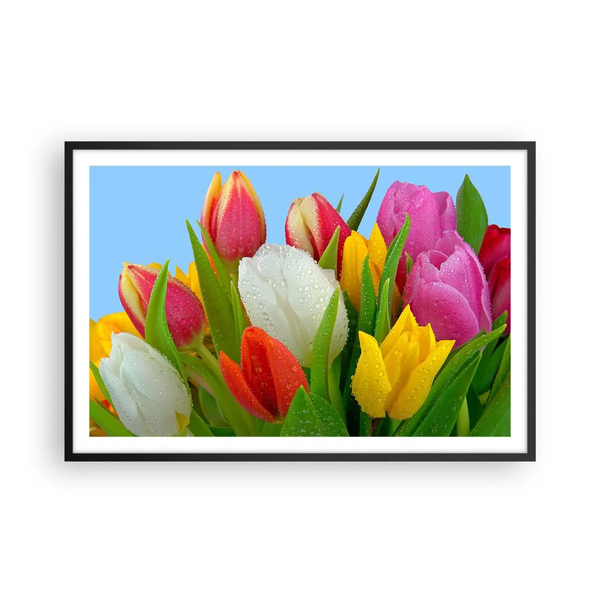 Póster en marco negro - Arco iris floral en gotas de rocío - 91x61 cm