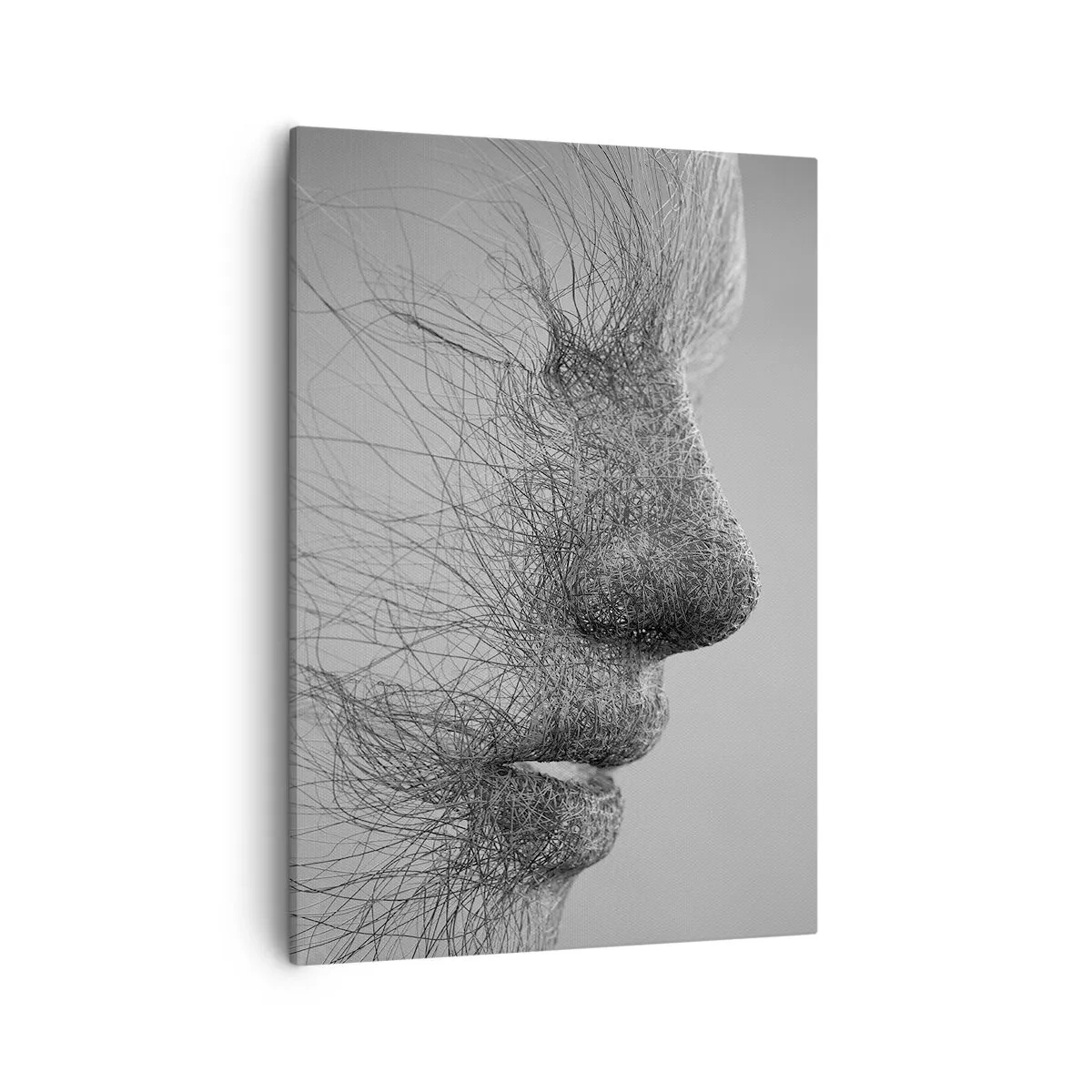 Cuadro sobre lienzo - Impresión de Imagen - Perfil facial artístico creado con líneas delicadas. - 50x70cm - Espíritu del viento - Decoración de pared moderna para salón y dormitorio ARTTOR