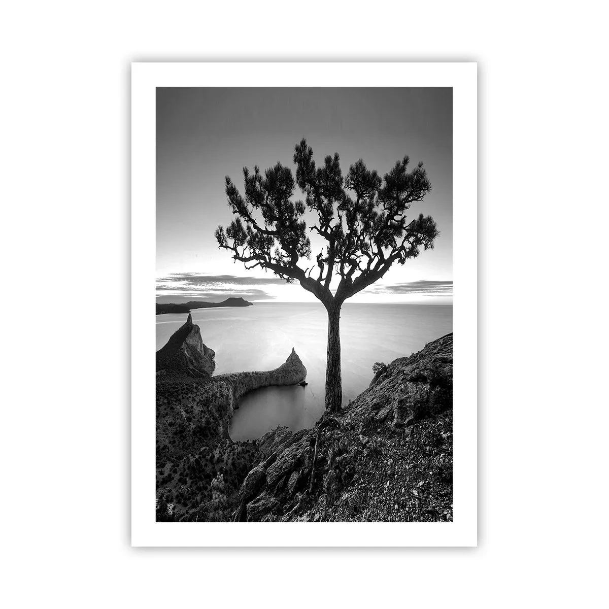 Póster - Paisaje en blanco y negro con un árbol solitario sobre un acantilado. - 50x70cm - Calma hasta el horizonte - Decoración de pared moderna para salón y dormitorio ARTTOR