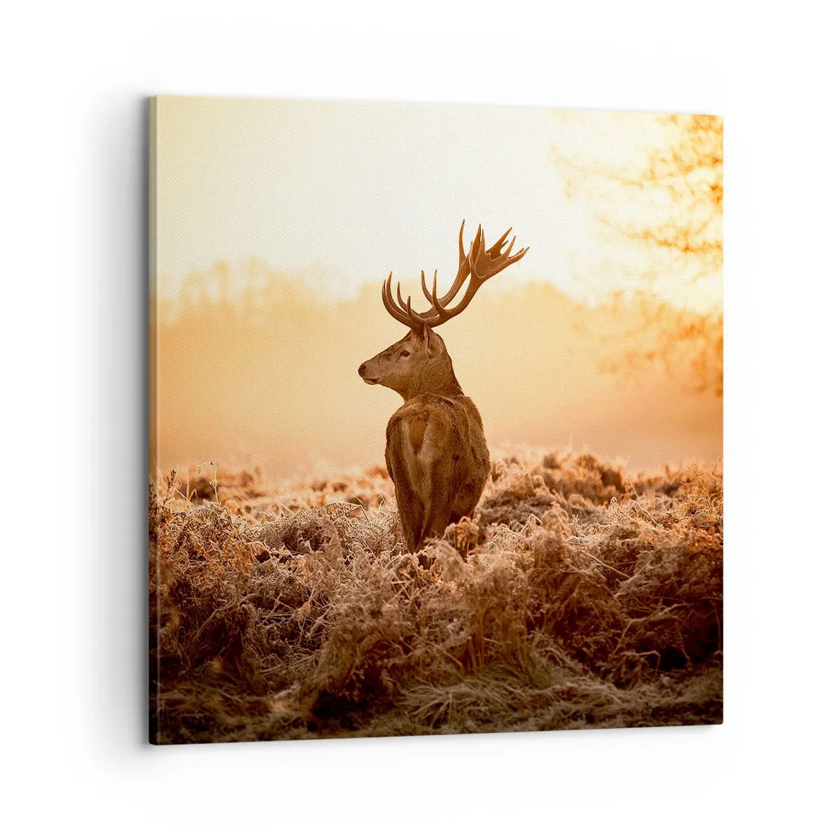 Cuadro sobre lienzo - Impresión de Imagen - Un líder por derecho - 60x60 cm