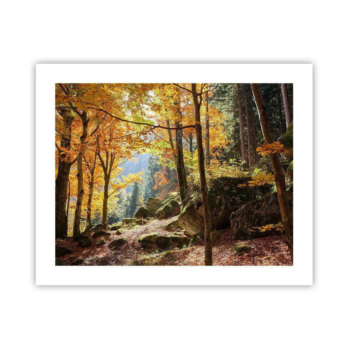 Póster - Tiempo de descanso - 50x40 cm