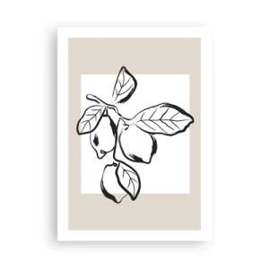 Póster - Una ilustración minimalista de una rama de limón en estilo blanco y negro. - 50x70cm - Donde el limón madura... - Decoración de pared moderna para salón y dormitorio ARTTOR