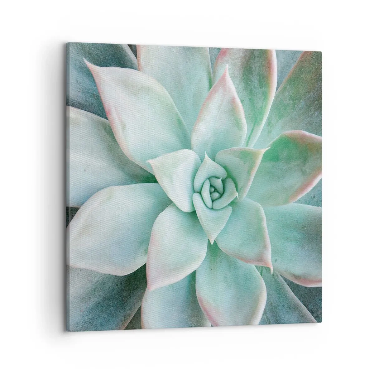 Cuadro sobre lienzo - Impresión de Imagen - El corazón del desierto - 50x50 cm