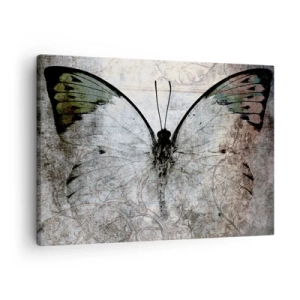 Cuadro sobre lienzo - Impresión de Imagen - Una mariposa en tonos verdes y grises sobre un fondo decorativo. - 70x50cm - En el estilo Art Nouveau - Decoración de pared moderna para salón y dormitorio ARTTOR