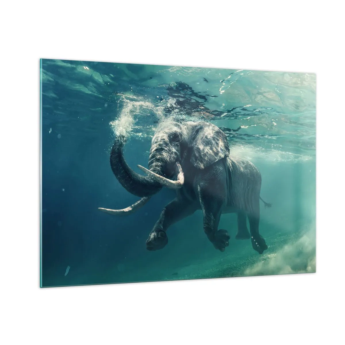 Cuadro sobre vidrio - Impresiones sobre Vidrio - Un elefante nadando bajo el agua en el océano azul. - 100x70cm - A todos nos gusta nadar - Decoración de pared moderna para salón y dormitorio ARTTOR
