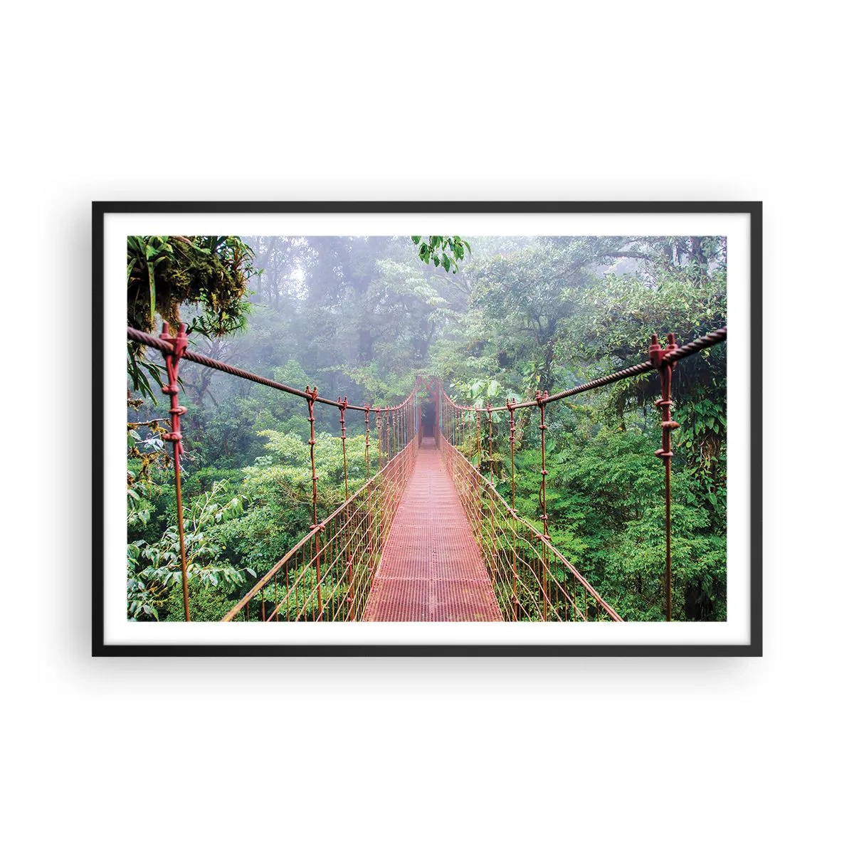 Póster en marco negro - Suspendido sobre las copas - 91x61 cm