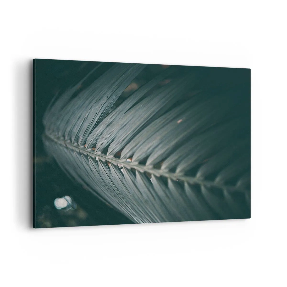 Cuadro sobre lienzo - Impresión de Imagen - Primer plano de un detalle de hoja de palma en tonos oscuros - 120x80cm - La precisión de la naturaleza - Decoración de pared moderna para salón y dormitorio ARTTOR
